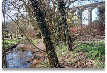 River Mimram and the Digswell Viaduct